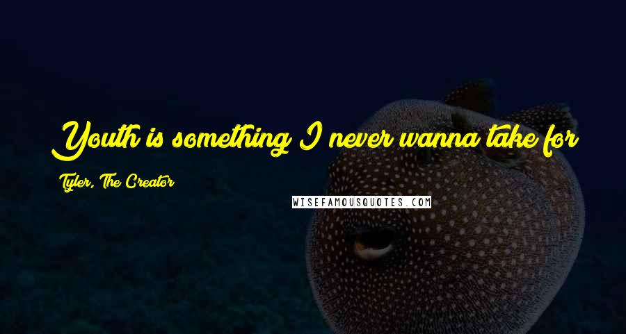 Tyler, The Creator Quotes: Youth is something I never wanna take for granted. I just want to smile and live life.