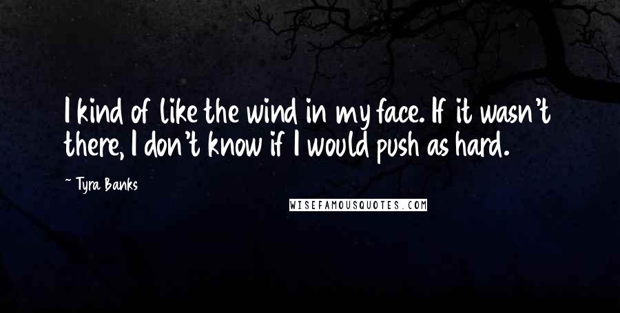 Tyra Banks Quotes: I kind of like the wind in my face. If it wasn't there, I don't know if I would push as hard.