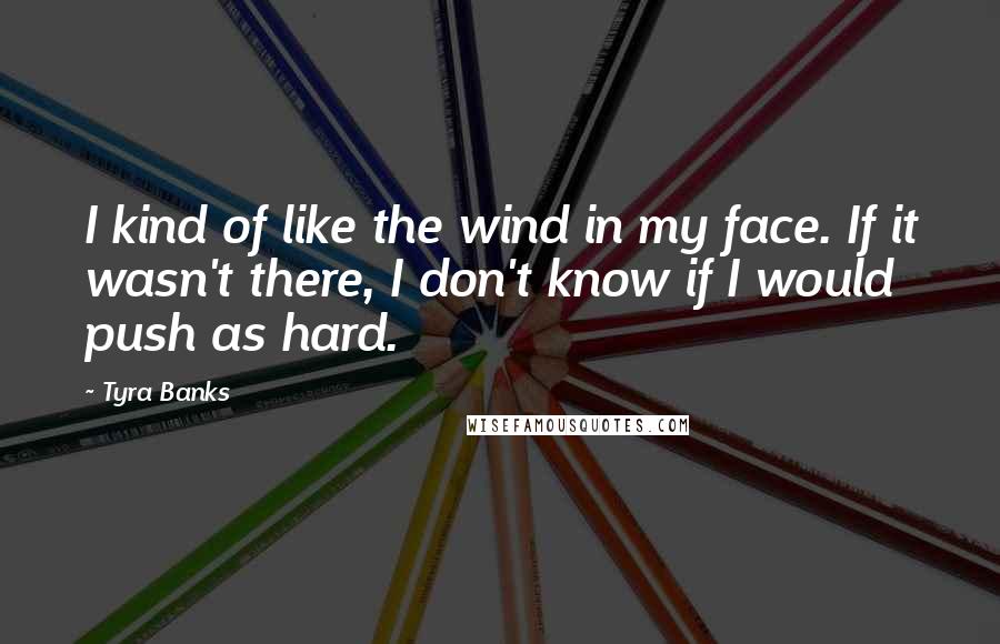 Tyra Banks Quotes: I kind of like the wind in my face. If it wasn't there, I don't know if I would push as hard.