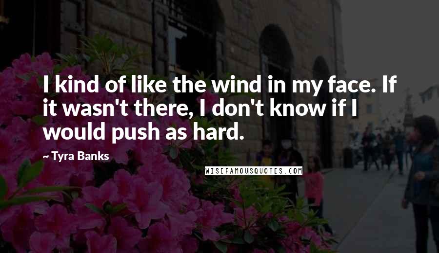 Tyra Banks Quotes: I kind of like the wind in my face. If it wasn't there, I don't know if I would push as hard.