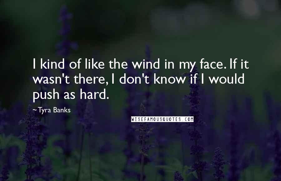 Tyra Banks Quotes: I kind of like the wind in my face. If it wasn't there, I don't know if I would push as hard.