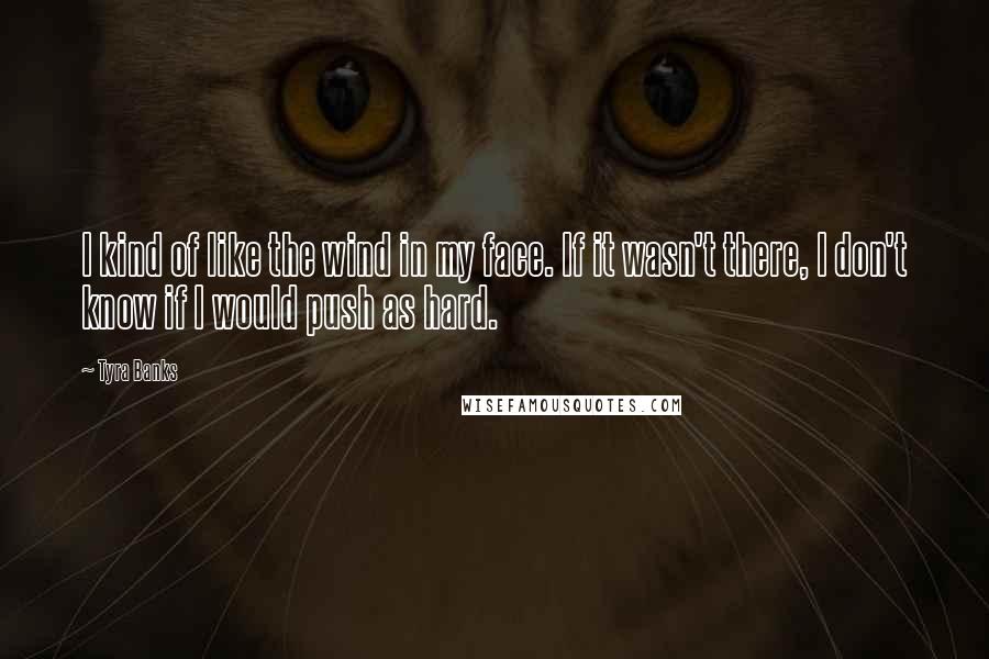 Tyra Banks Quotes: I kind of like the wind in my face. If it wasn't there, I don't know if I would push as hard.