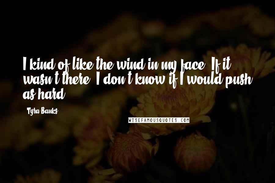 Tyra Banks Quotes: I kind of like the wind in my face. If it wasn't there, I don't know if I would push as hard.