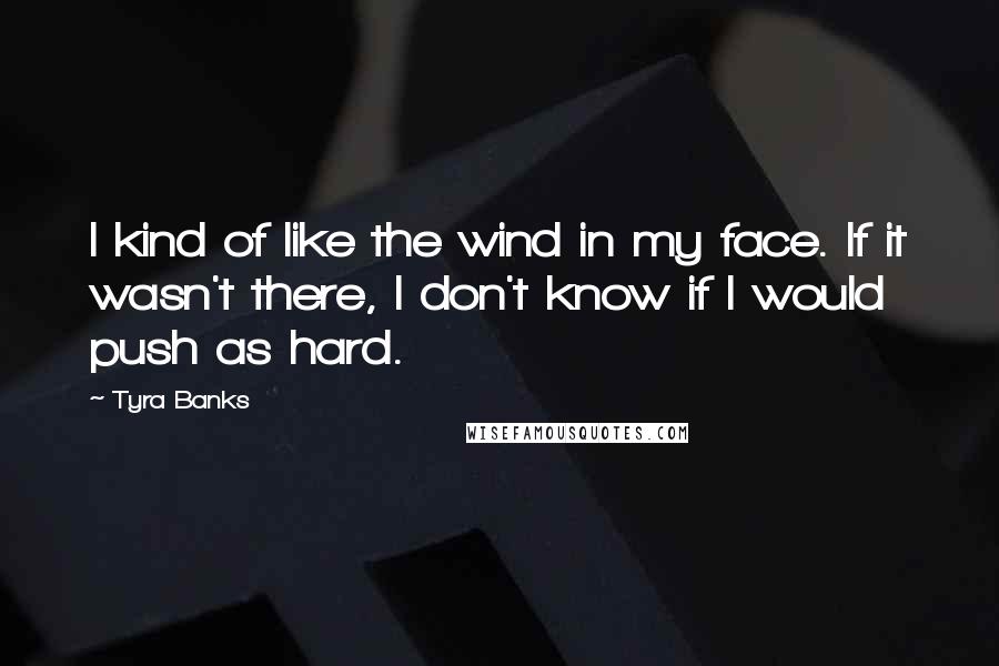 Tyra Banks Quotes: I kind of like the wind in my face. If it wasn't there, I don't know if I would push as hard.