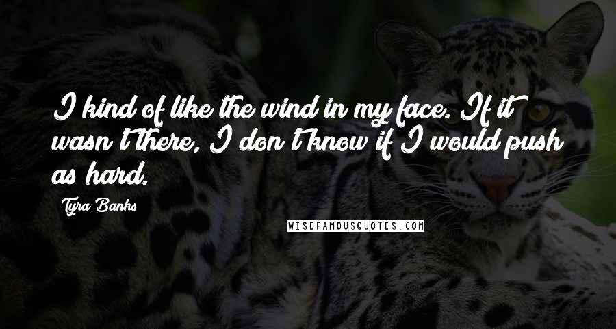 Tyra Banks Quotes: I kind of like the wind in my face. If it wasn't there, I don't know if I would push as hard.