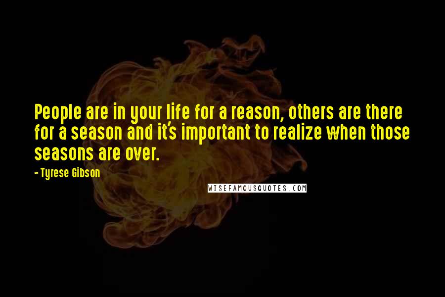 Tyrese Gibson Quotes: People are in your life for a reason, others are there for a season and it's important to realize when those seasons are over.