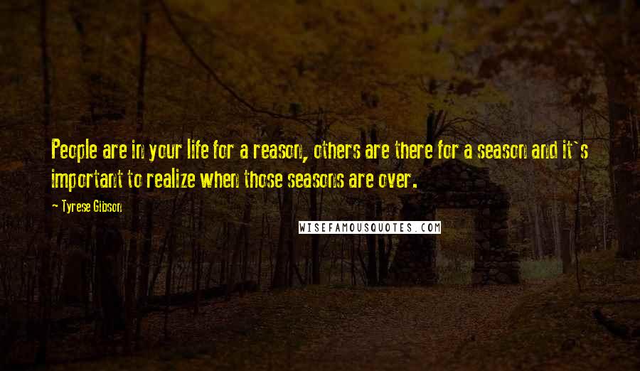 Tyrese Gibson Quotes: People are in your life for a reason, others are there for a season and it's important to realize when those seasons are over.