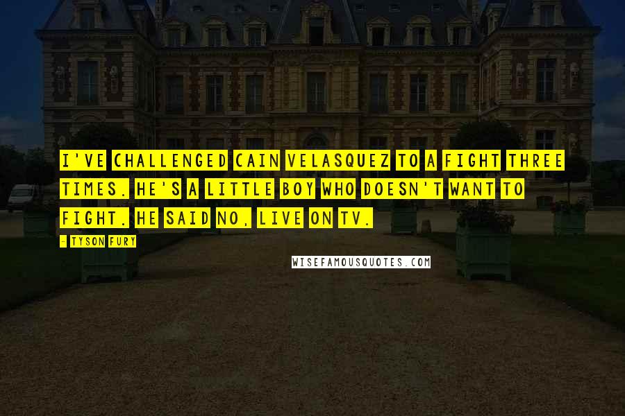 Tyson Fury Quotes: I've challenged Cain Velasquez to a fight three times. He's a little boy who doesn't want to fight. He said no, live on TV.