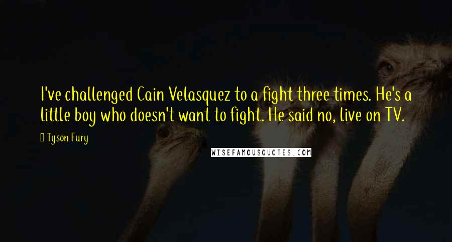 Tyson Fury Quotes: I've challenged Cain Velasquez to a fight three times. He's a little boy who doesn't want to fight. He said no, live on TV.