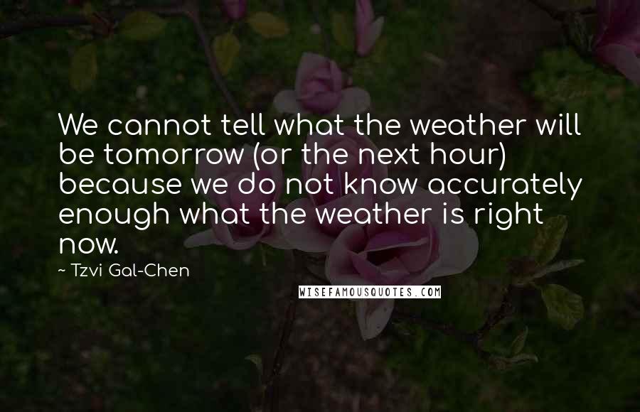 Tzvi Gal-Chen Quotes: We cannot tell what the weather will be tomorrow (or the next hour) because we do not know accurately enough what the weather is right now.