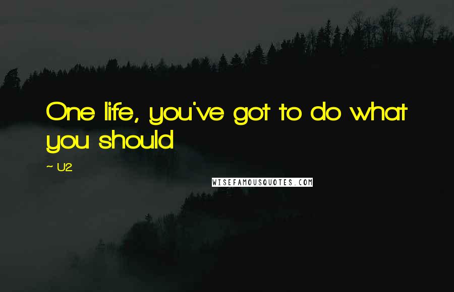 U2 Quotes: One life, you've got to do what you should