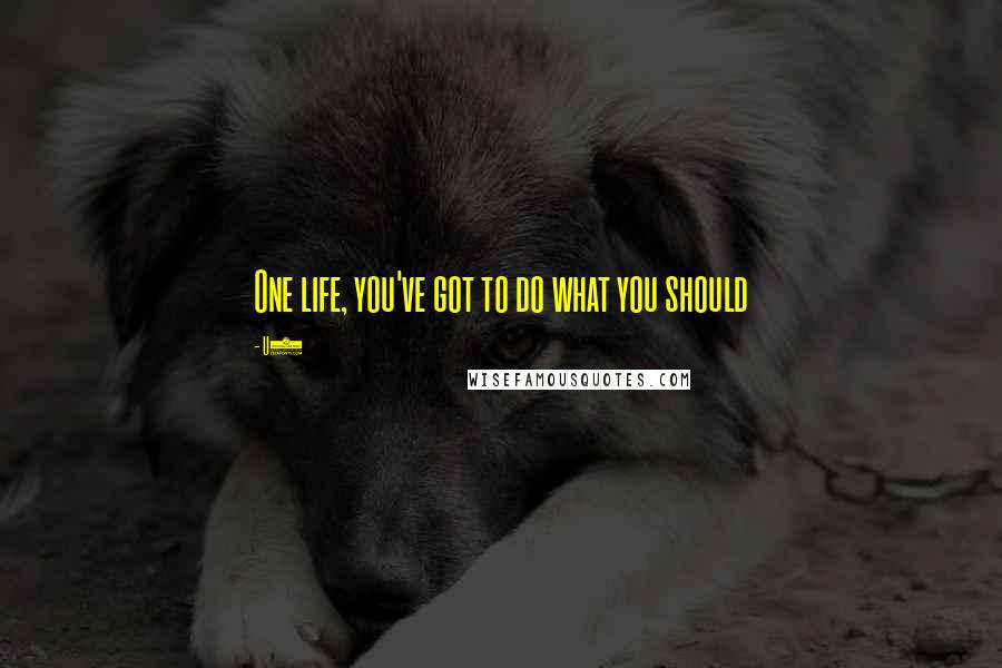 U2 Quotes: One life, you've got to do what you should
