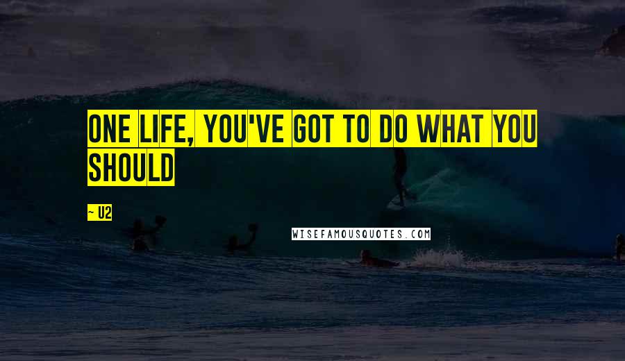 U2 Quotes: One life, you've got to do what you should