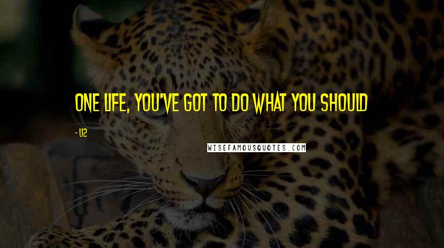 U2 Quotes: One life, you've got to do what you should