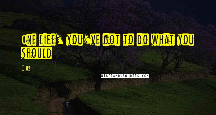 U2 Quotes: One life, you've got to do what you should