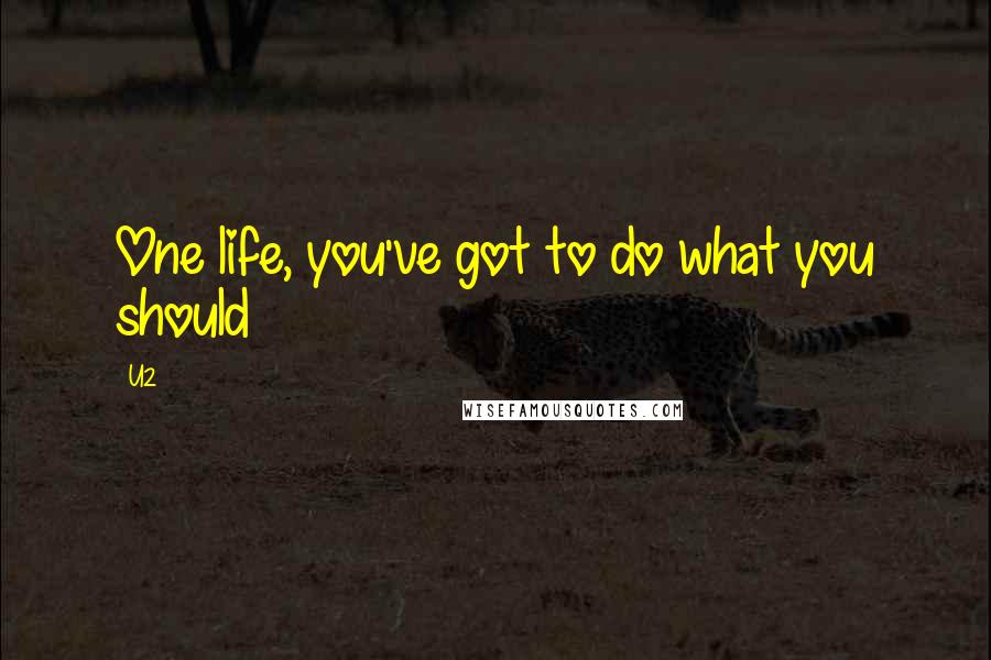 U2 Quotes: One life, you've got to do what you should
