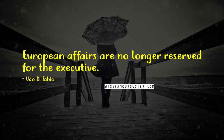 Udo Di Fabio Quotes: European affairs are no longer reserved for the executive.