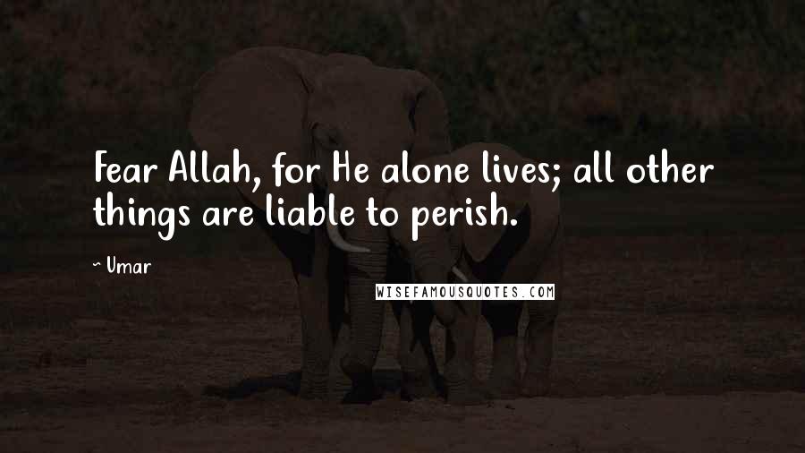 Umar Quotes: Fear Allah, for He alone lives; all other things are liable to perish.