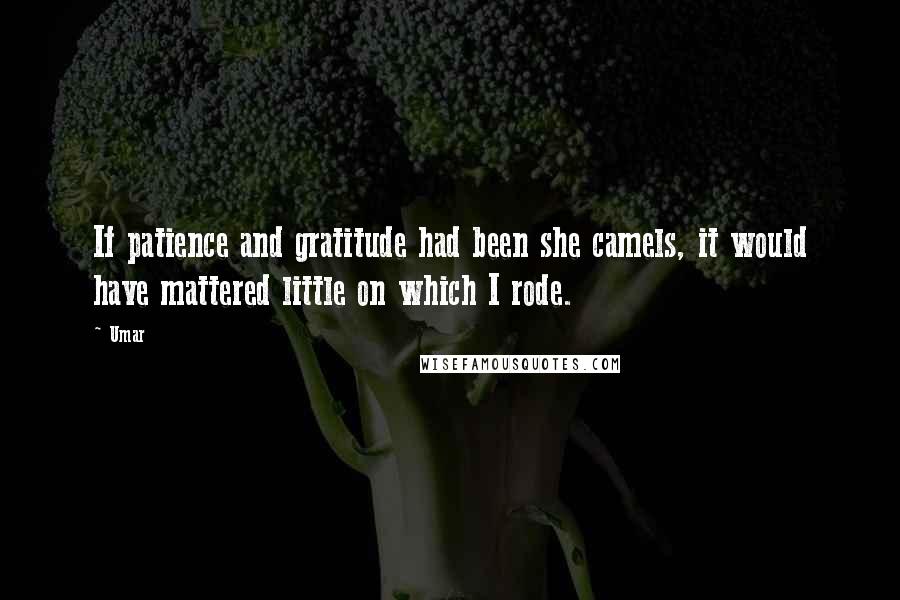 Umar Quotes: If patience and gratitude had been she camels, it would have mattered little on which I rode.