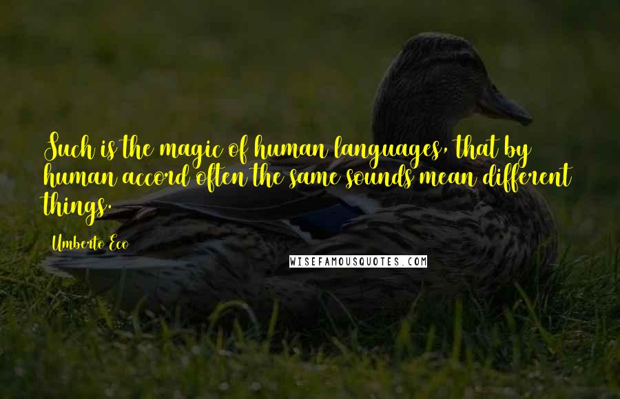 Umberto Eco Quotes: Such is the magic of human languages, that by human accord often the same sounds mean different things.