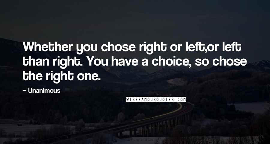 Unanimous Quotes: Whether you chose right or left,or left than right. You have a choice, so chose the right one.