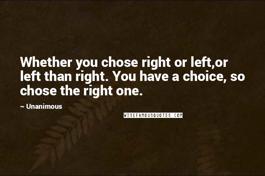 Unanimous Quotes: Whether you chose right or left,or left than right. You have a choice, so chose the right one.