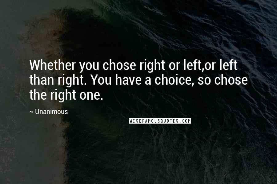 Unanimous Quotes: Whether you chose right or left,or left than right. You have a choice, so chose the right one.