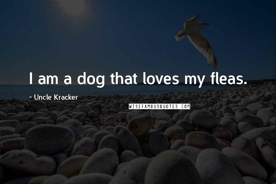 Uncle Kracker Quotes: I am a dog that loves my fleas.