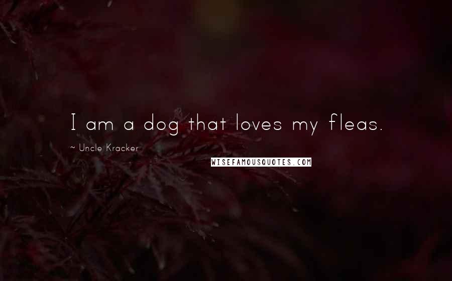 Uncle Kracker Quotes: I am a dog that loves my fleas.