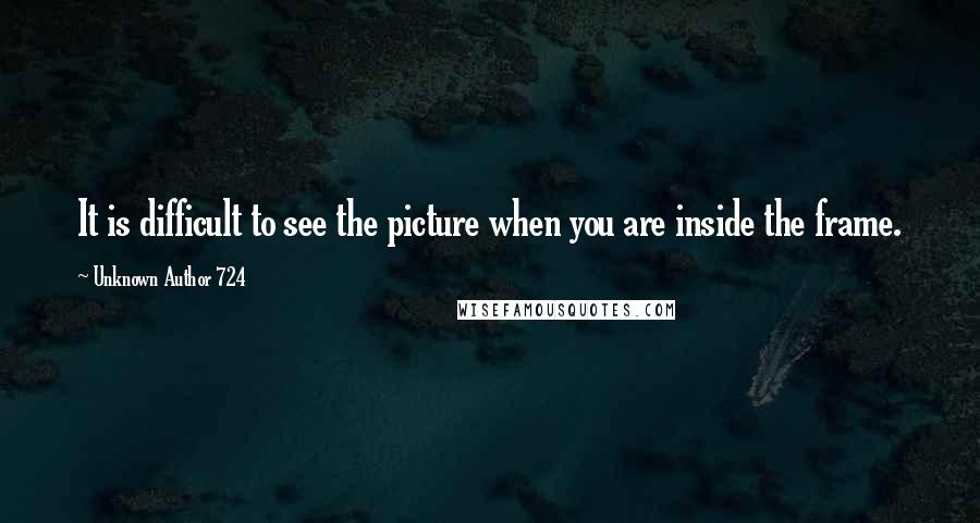 Unknown Author 724 Quotes: It is difficult to see the picture when you are inside the frame.