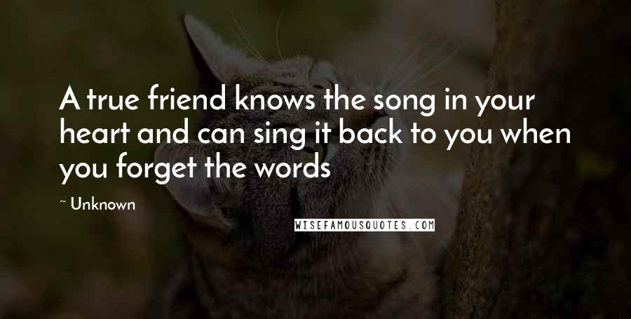 Unknown Quotes: A true friend knows the song in your heart and can sing it back to you when you forget the words