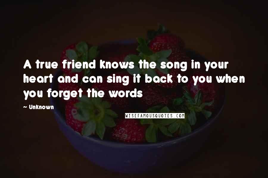 Unknown Quotes: A true friend knows the song in your heart and can sing it back to you when you forget the words