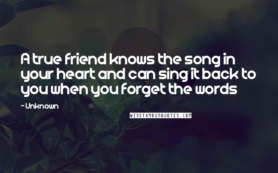 Unknown Quotes: A true friend knows the song in your heart and can sing it back to you when you forget the words