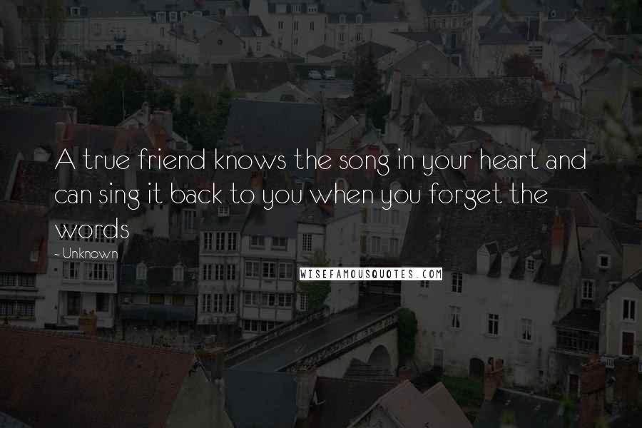 Unknown Quotes: A true friend knows the song in your heart and can sing it back to you when you forget the words