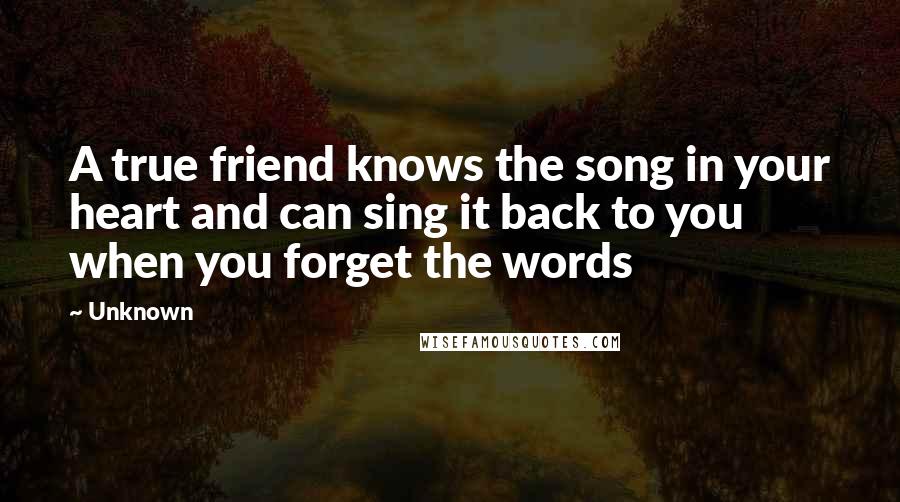 Unknown Quotes: A true friend knows the song in your heart and can sing it back to you when you forget the words