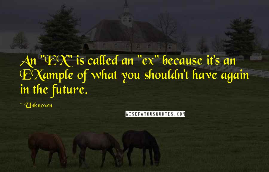 Unknown Quotes: An "EX" is called an "ex" because it's an EXample of what you shouldn't have again in the future.