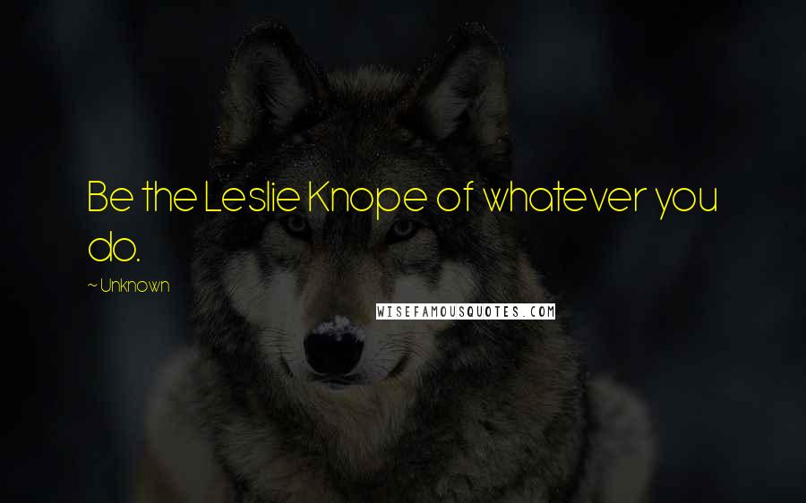 Unknown Quotes: Be the Leslie Knope of whatever you do.