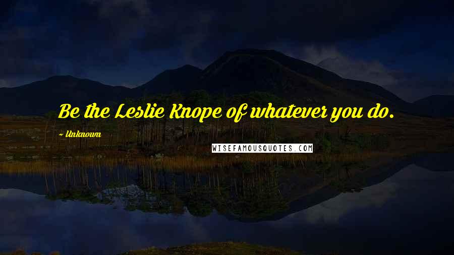 Unknown Quotes: Be the Leslie Knope of whatever you do.