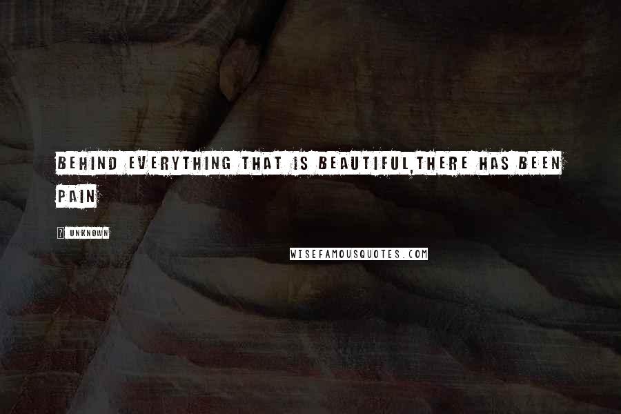 Unknown Quotes: Behind everything that is beautiful,there has been pain