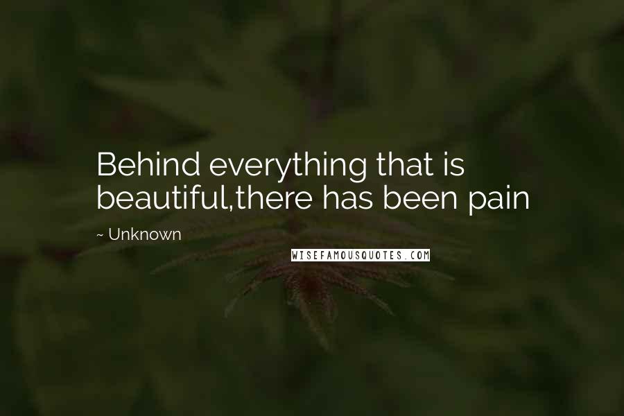Unknown Quotes: Behind everything that is beautiful,there has been pain