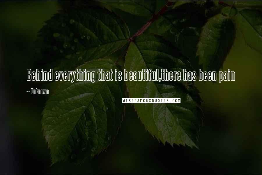 Unknown Quotes: Behind everything that is beautiful,there has been pain