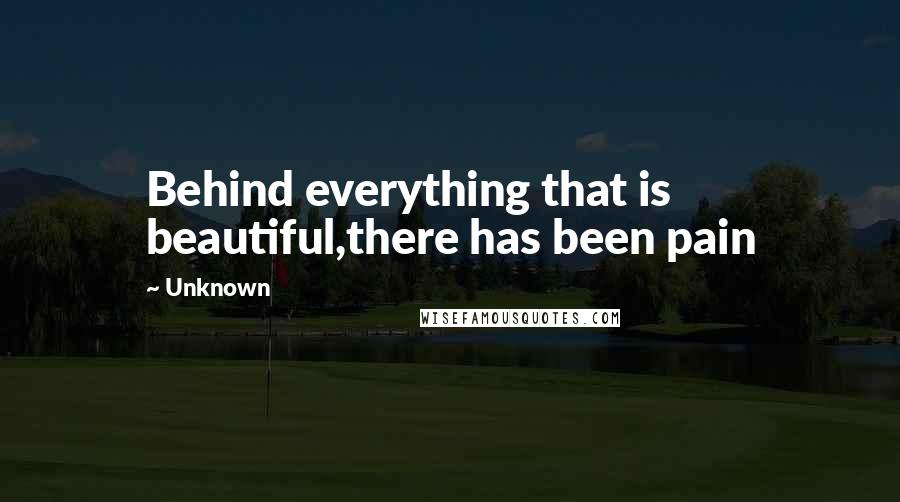 Unknown Quotes: Behind everything that is beautiful,there has been pain