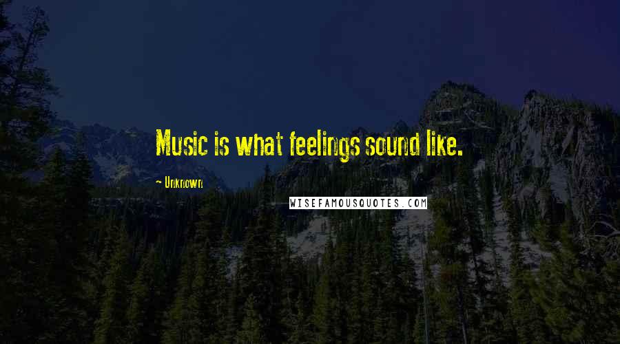 Unknown Quotes: Music is what feelings sound like.