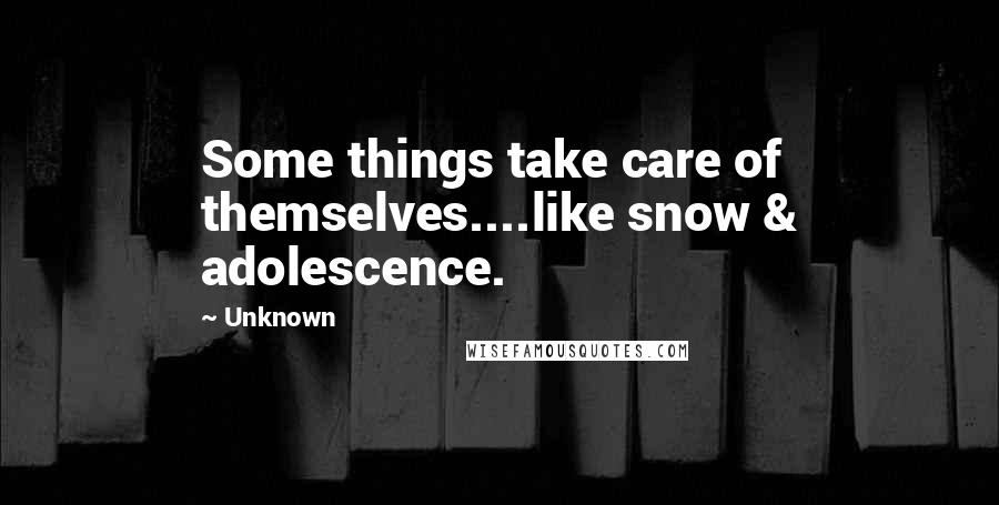 Unknown Quotes: Some things take care of themselves....like snow & adolescence.