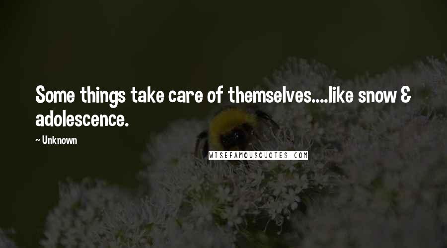 Unknown Quotes: Some things take care of themselves....like snow & adolescence.