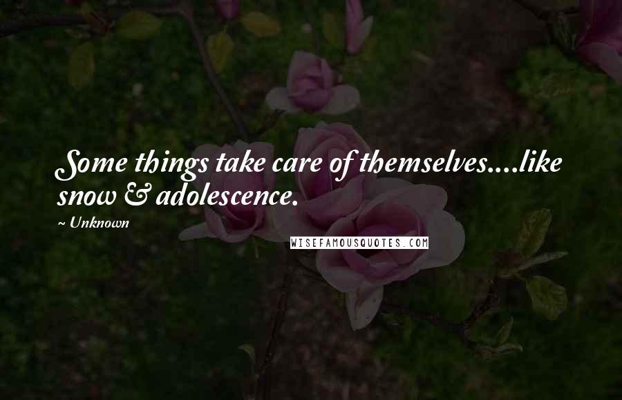 Unknown Quotes: Some things take care of themselves....like snow & adolescence.