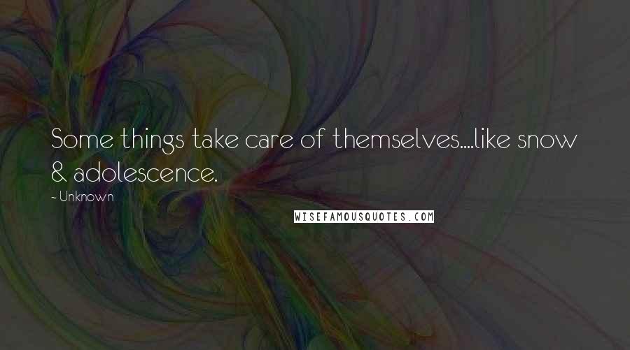 Unknown Quotes: Some things take care of themselves....like snow & adolescence.