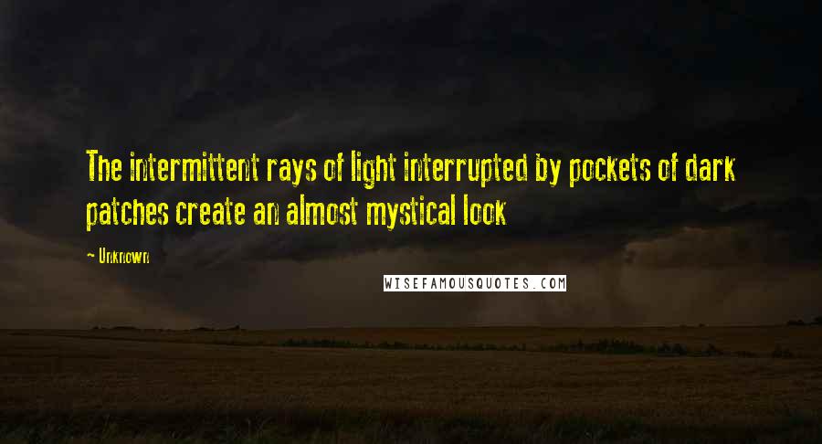 Unknown Quotes: The intermittent rays of light interrupted by pockets of dark patches create an almost mystical look