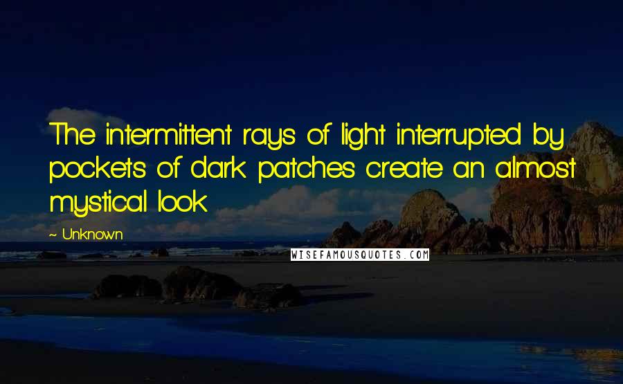 Unknown Quotes: The intermittent rays of light interrupted by pockets of dark patches create an almost mystical look