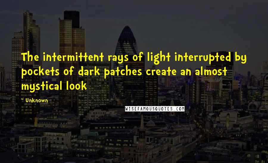 Unknown Quotes: The intermittent rays of light interrupted by pockets of dark patches create an almost mystical look